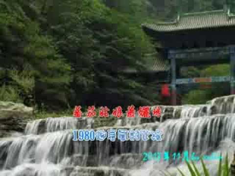 秋的憶念-蕃茄姑娘蕭孋珠1980媽媽的背影