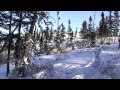 Caribou Nov 2007 (Ver 2) 
