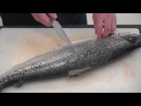 Gravlax - marinovaný losos