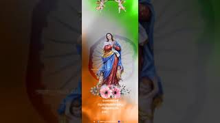 independence day status|assumption of mother Mary|lighters side