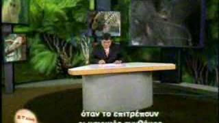 o catman sto kosmo twn ourakotagkwn