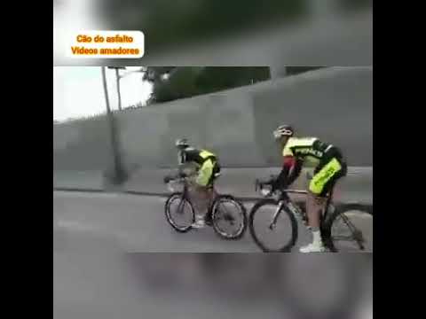 Saudoso rachão do milhão com Verinaldo, Salomão, Chamorro e Cia ...