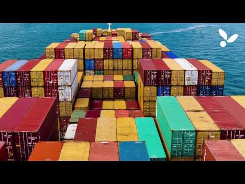 TLC Perú - China