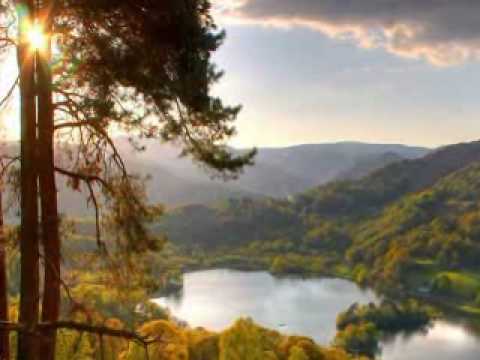 Adonai Machaseinu, Shiru L'Adonai (translated lyrics in the description)