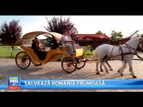 The Story of Haller Castle Orga