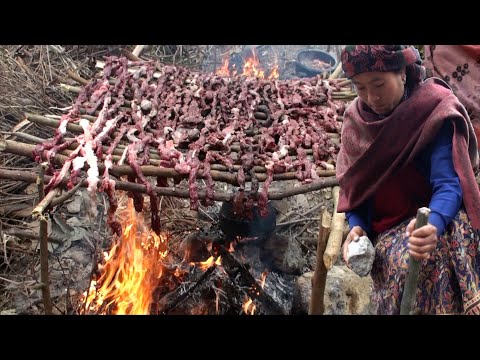 download lagu mp3 mp4 Himalayan Buff, download lagu Himalayan Buff gratis, unduh video klip Himalayan Buff
