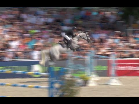 Zuccero und R.G. Bengtsson im Großen Preis von Hörup - Umlauf