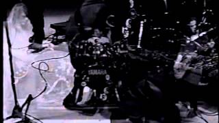 Caroline&#39;s Spine - Artichoke (circa 1995)