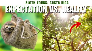 Sloth Tours in Costa Rica isn't what we expected!