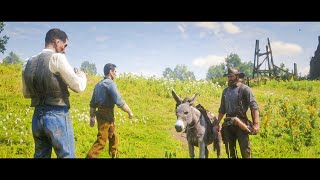 What happens if you bring a donkey to the horse fence? | RDR2