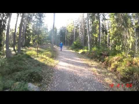 Närkes Terräng-DM (långa) 2012 - 12 km (Löparperspektiv, lång)