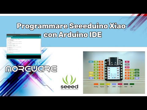 Come programmare Seeduino Xiao con Arduino IDE