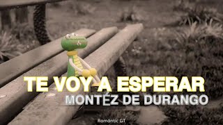 TE VOY A ESPERAR - MONTÉZ DE DURANGO (letra)