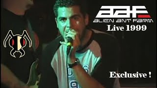 Alien Ant Farm Before The Record Deal, July 9, 1999