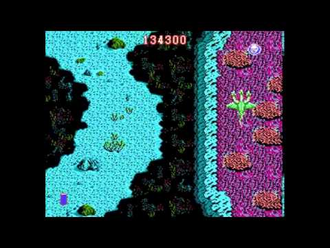 Dragon Spirit : The New Legend NES