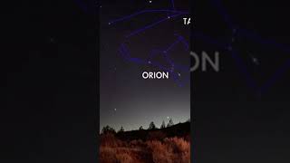 Stars of the winter in December🌠 #shorts #youtubeshorts