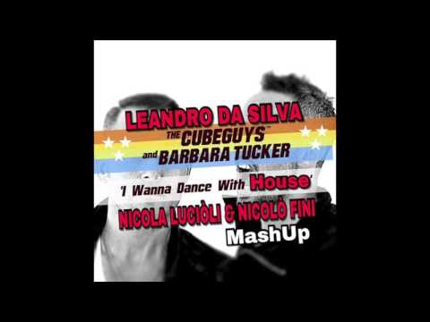 Leandro Da Silva Vs. Cube Guys - I Wanna Dance whit House (Nicola Luciòli & Nicolò Fini MashUp)