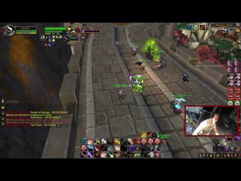 Rik (Feral Druid) Vs Ww Monk