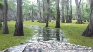 preview picture of video 'Caddo Lake 2012'