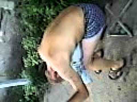 Tatuś roku!