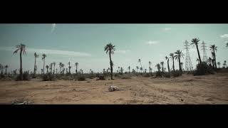 Silver Firs - Now we start to see the Beauty [Official Video]