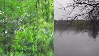 MARK KNOPFLER, ONE MORE MATINEE, new