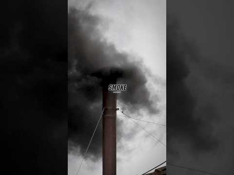 💨 Vatican’s MYSTERY Of the 1958 Papal Conclave 😳 - Mel Gibson #joerogan