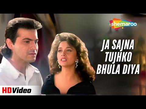 Ja Sajna Tujhko Bhula Diya | Udit Narayan | Raja | Madhuri Dixit, Sanjay Kapoor | 90s Emotional Song