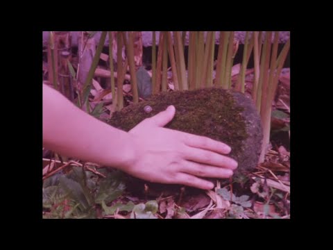 lala lala and baths - € € € €^^%%!!!!!heaven!!!!!!