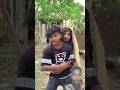 Ankit Comedy Short Video Short Funny Video Comedy