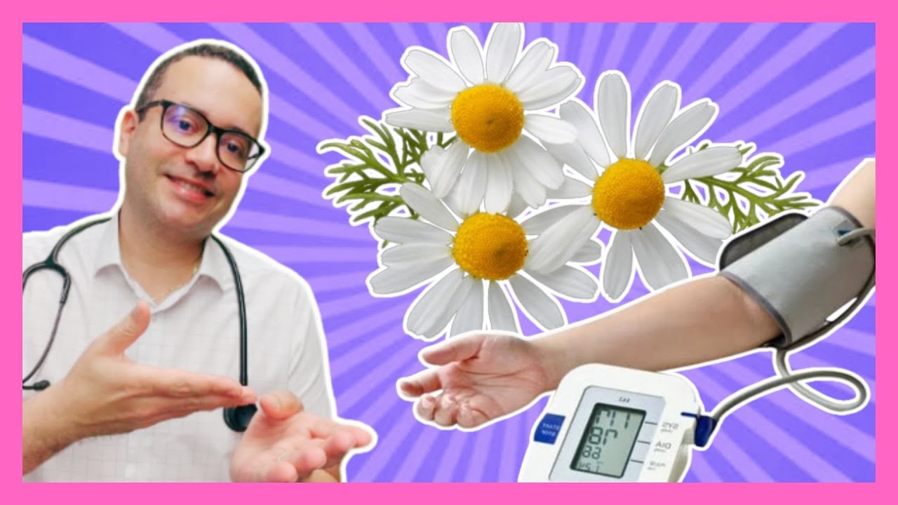 Chá de camomila é bom para a pressão alta?
