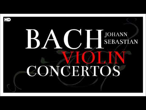 2 Hours Bach Violin Concertos | Classical Baroque Music | Focus Reading Studying