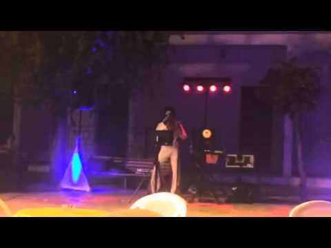 Crianimation in Elvis Presley live show