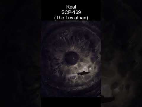 SCP-169 | The Leviathan (SCP Library) #creepy #scpfoundation #scary