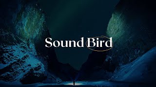 BigGigantic - The Night Is Young (Ft. Cherub)