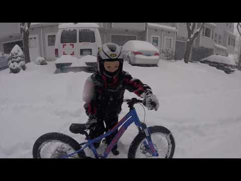 Fat bikes in the snow Specialized Riprock 20 Framed Carbon Alaskan