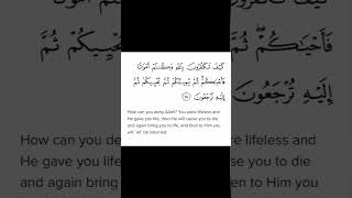 Download lagu Surah baqarah Ayat 28 mp3 Download lagu Surah baqarah Ayat 28 mp3