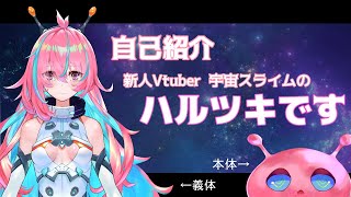 【自己紹介】はじめまして、ハルツキです【新人Vtuber】
