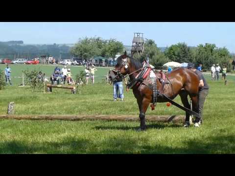 Formanský den 6. 6. 2015.  Bystřec