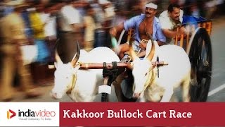 Kakkoor Bullock Cart Race, Kochi