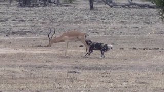 [問卦] 肛門要怎麼玩才專業？