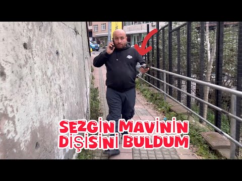 PASHA FOUND MAVI'S MISSING MATE AFTER A WEEK (THE ANIMAL WAS STARVING, ITS SKIN BLACK AND RED).