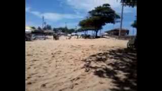 PRAIAS DE GUARAPARI ES