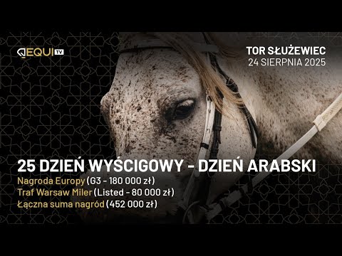 DZIEŃ ARABSKI 2025 - Gwiazdy w Nagrodzie Europy