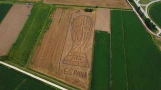 Spagna campione, il tributo del land artist Dario Gambarin: la Coppa disegnata con trattore e ara...
