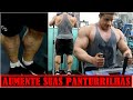 TREINO PARA PANTURRILHAS GIGANTES