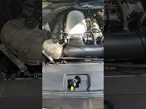 holley hi ram cammed 2016 mustang gt california special #2019mustang #carmodification #cammedcoyote