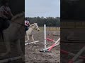 BMR Jade Nugget Gymnastic