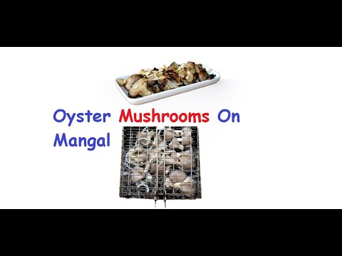 Oyster Mushrooms On Mangal / Book of recipes / Bon Appetit