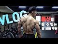 [Natural]2주차, 프로내츄럴보디빌더의 극시즌기 다이어트 브이로그 | 등 운동루틴